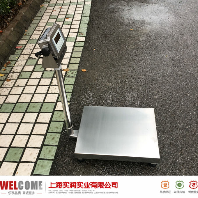 304不锈钢电子台秤