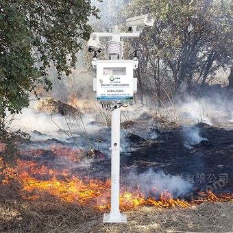 OSEN森林火災(zāi)預(yù)防 火苗識(shí)別在線監(jiān)測(cè)系統(tǒng)