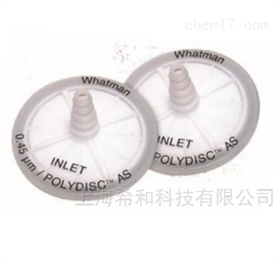 在線盤式濾器Polydisc AS