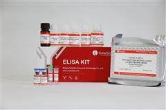 SEKH-0035人白细胞介素24（IL-24）ELISA试剂盒