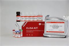 SEKH-0017人白细胞介素9（IL-9 ）ELISA试剂盒