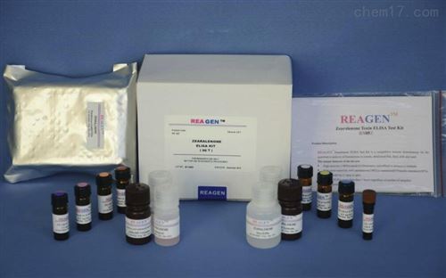 人白介素1β （IL-1β）ELISA检测试剂盒