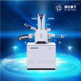 国仪量子钨灯丝扫描电子显微镜
