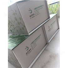 骨鈣素免疫組化試劑盒