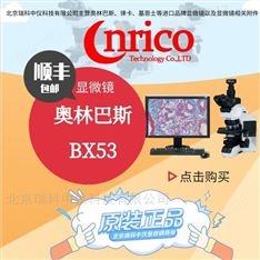 奧林巴斯BX53顯微鏡靈敏的熒光成像系統(tǒng)