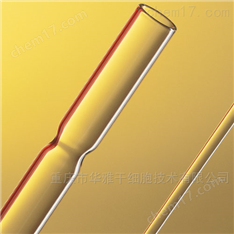 德國(guó)hilgenberg代理 巴斯德玻璃移液器